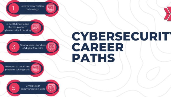 Educational Pathways to Enter Cyber Security