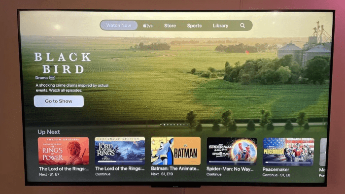 Alternatives for Watching Apple TV Content