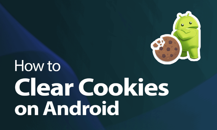 How to Clear Cookies on Android