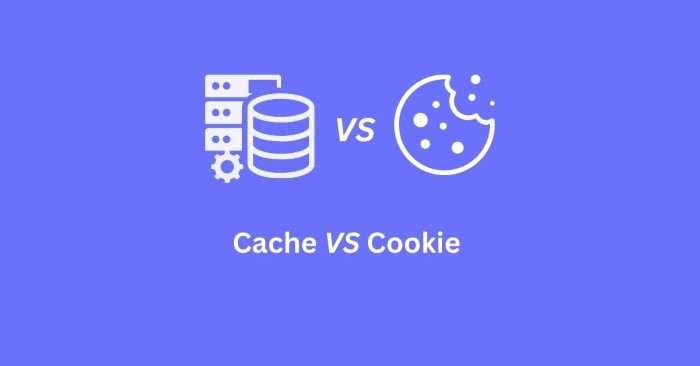 Understanding Browser Cache vs. Cookies