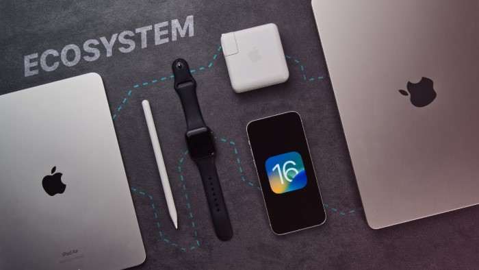 Understanding the Apple Watchs Ecosystem