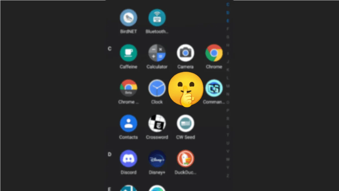 Why Hide Apps