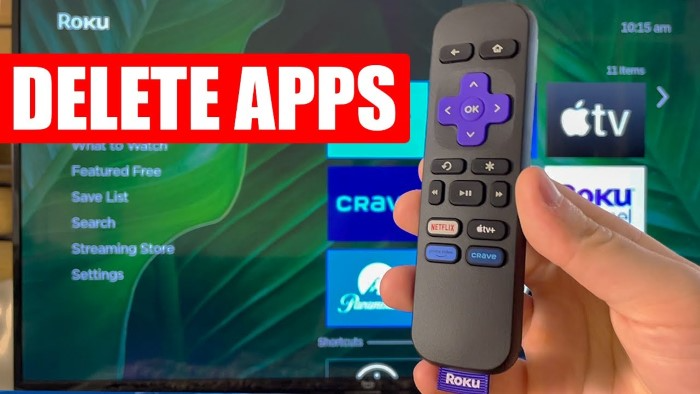 Why Uninstall Apps on Roku