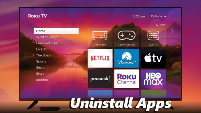 Why Youd Uninstall an App on Roku